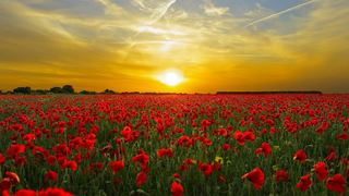 The Power of Remembrance