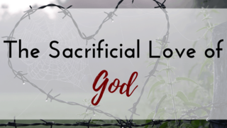 Sacrificial Love