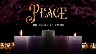 Finding Peace