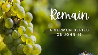 Who Wants to Be a Martyr? - Acts 6-7