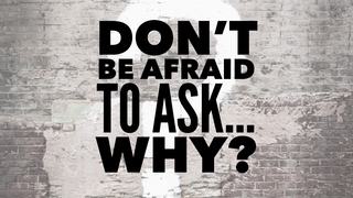 Don't Be Afraid To Ask...Why? (Audio) episode artwork