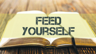 Feed Yourself episode artwork
