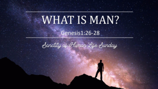 What is Man? episode artwork