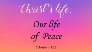 Christ's Life - Our Life of Peace episode artwork
