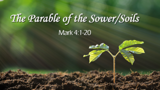 Parable of the Sower/Soils episode artwork