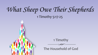 What Sheep Owe Their Shepherds episode artwork