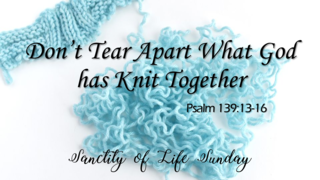 Don't Tear Apart What God Has Knit Together episode artwork
