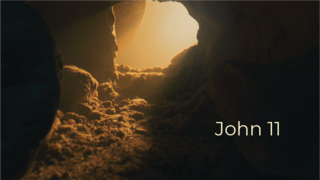 John 11