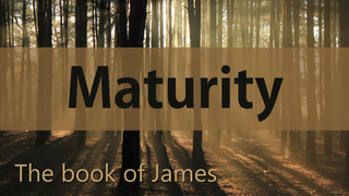 The Beginning of Maturity