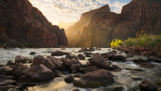 A Disastrous Word and the Glorious Word