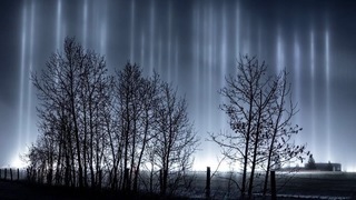 Pillars for a New Year