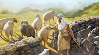 Judgment at the End of the Age