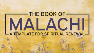 How Have We Despised Your Name? (Malachi 1:6-2:9)