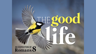 A Life of Harmony (Romans 8:5-11)