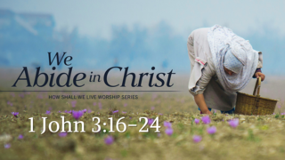 We Abide in Christ