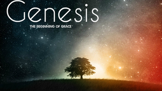 Genesis 33:18-34:30 episode artwork