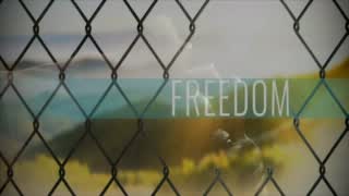 Freedom episode artwork