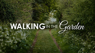 Walking in the Garden