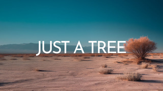 Just A Tree