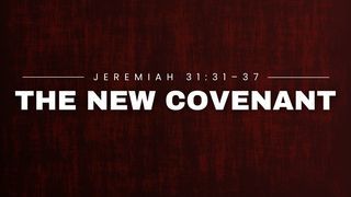 The New Covenant episode artwork