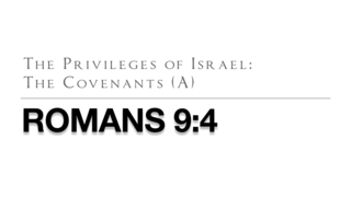 The Privileges: The Covenants (A) episode artwork