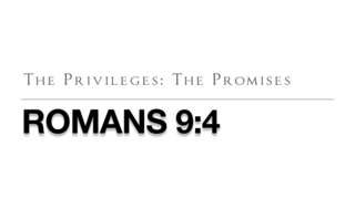 The Privileges: The Promises episode artwork