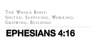 The Whole Body - United, Supplying, Working, Growing, Building episode artwork