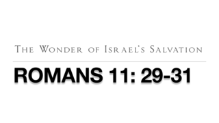 The Wonder of Israel's Salvation episode artwork
