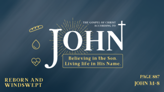 Reborn and Windswept (John 3:1-8)