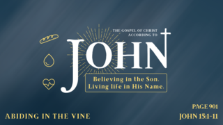 Abiding in the Vine (John 15:1-11)
