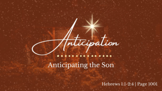 Anticipating The Son