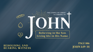 Beholding and Bearing Witness (John 1:19-34)
