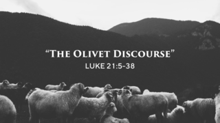 cover of episode "The Olivet Discourse"