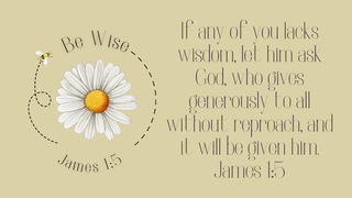 Ecclesiastes 11:7-12:14 Wrap Up