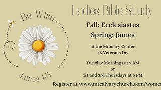 Ecclesiastes 10:1-11:8