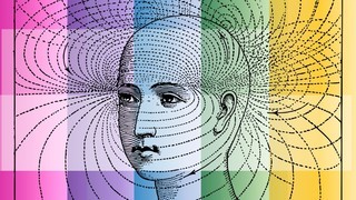 Sensing Signs (Series Wrap-up)