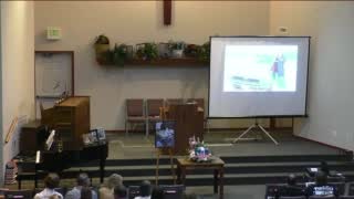 In Loving Memory of Shelby "Shelb" Lions