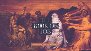 How Not To Be Job's Friends episode artwork