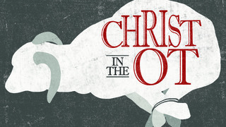 Silence Of The Lamb: The Good News About Jesus episode artwork
