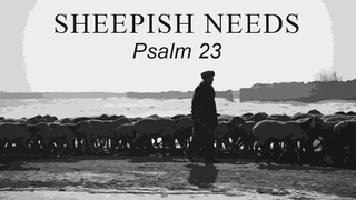 Sheepish Needs - Part 1