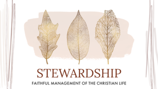 The Stewardship of Time episode artwork