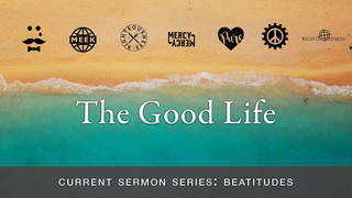 Meekness episode artwork