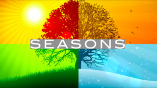 Seasons Seasons
