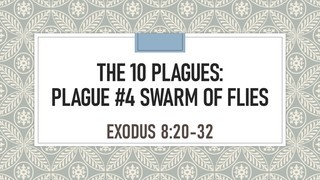 Plague #4- Swarm of Flies- Exodus 8:20-32