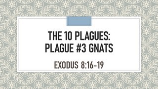 Plague #3- Gnats- Exodus 8:16-19