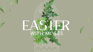 FBC Grandview Sermons