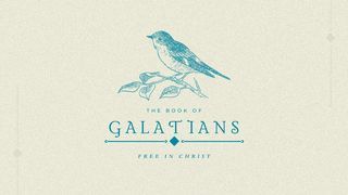 Free In Christ