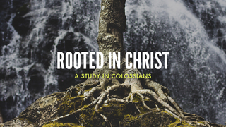 Colossians 3:17-4:1