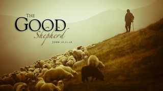 THE GOOD SHEPHERD episode artwork