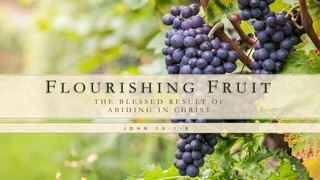 FLOURISHING FRUIT 02 - The Blessed Result Of Abiding In Christ (conclusion) episode artwork